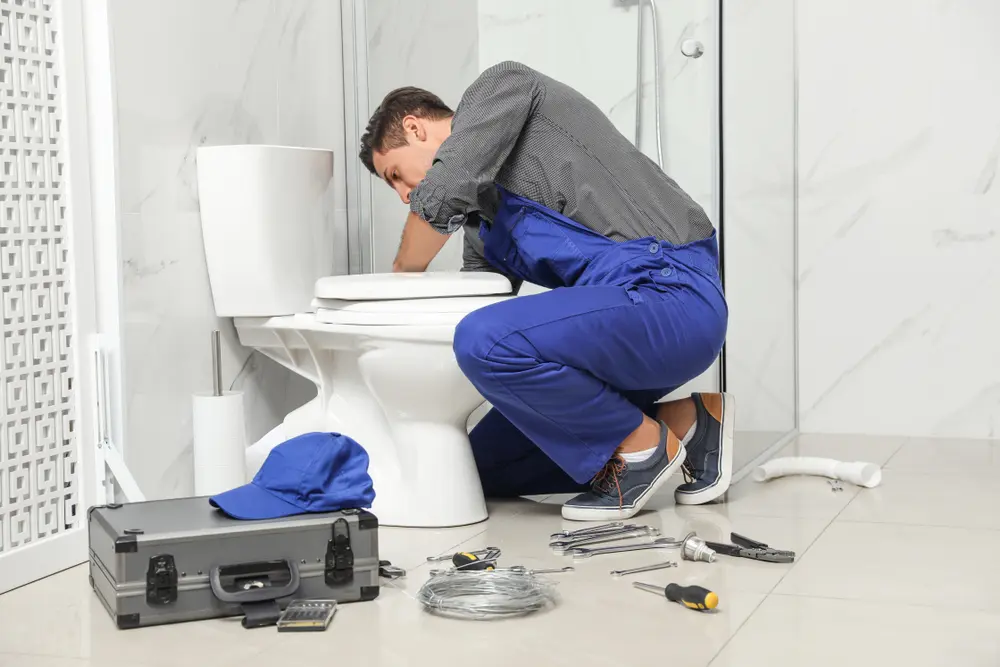 Toilet Installation in Fremont